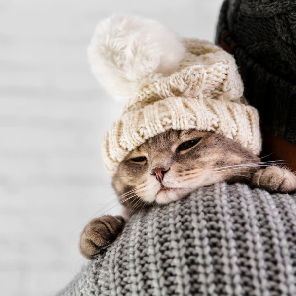 Suziria​ - b2b - каталог товаров